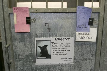 Affiche pour adopter un chien dans un refuge SPA France