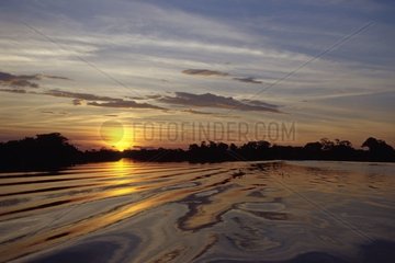 Sonne in Pantanal Brasilien niederlegen
