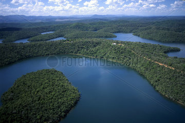 Lakes and forest. Reserva do Rio Doce  environmental preservation  conservancy. State: Minas Gerais  Brazil.