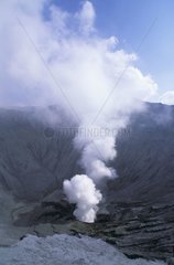 Crater of the volcano Bromo Java Indonesia