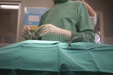 Chirurgien vétérinaire avant intervention chirurgicale