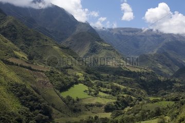 Fragmentation of the high elevation forest Imbabura Ecuador