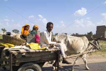 Gypsy family going by with cow driven cart to look for land at Great Indian Thar Desert in Jodhpur Rajasthan India