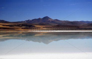 Laguna Tuyajto Road Paso de Sico Atacama Chili