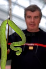 Pompier et serpent Information sur les NAC Pierrelatte