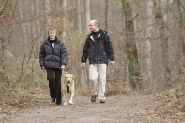 Wanderer und ihr Hund im Wald von Fontainebleau Frankreich