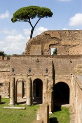 Ruins of Palatin Rome