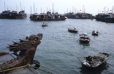 Jonques und Bootstaxis Bay von Halong Vietnam