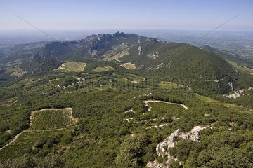 Spitze Montmirail Vaucluse Provence Frankreich