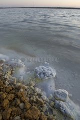 Salt crystals on the shore of an ancient saline field Spain