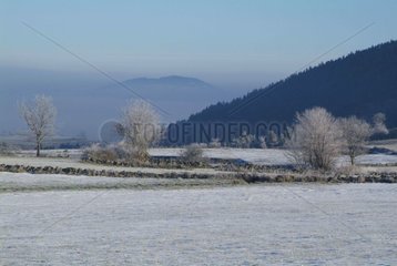 Morning fog on a frozen landscape Auvergne