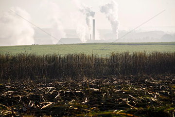 Sugarcane plantation and ethanol & sugar plant  Brazil. Biofuel. May 2008.
