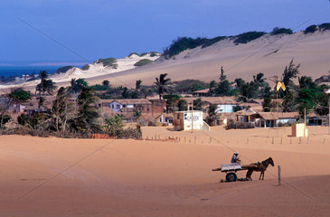 Horse carrying wagon in the sand dunes of Ceara State shore  Brazil. Animal powered transportation  tropical beach  village daily life  travel  World destination  tourism  simple houses on sand dunes.