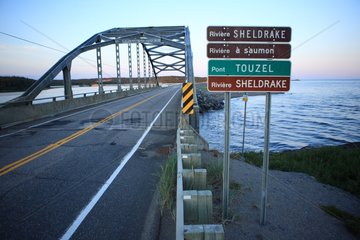 Touzel bridge on the Sheldrake River salmon in summer
