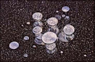 Methanblasen  die im Eis eines Teiches Frankreich gefangen sind