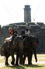 Galle fort  elephant polo match
