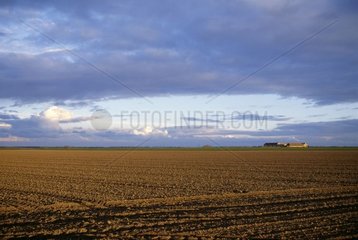 Field plowed and firm in autumn Ile-de-France France