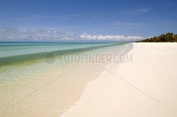 Strand in Ouvéa Iles Loyauté Nouvelle Caledonia