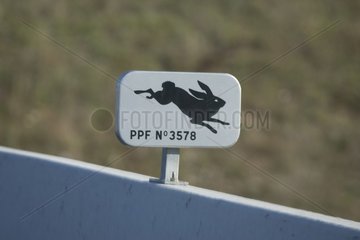 Traffic sign of passage of fauna on the motorway