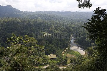 Forest lodge in the tropical forest Borneo