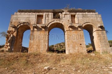 Römische Ruinen Patara türkiye