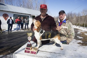 Beagle -Gewinner eines Tracking Contest Quebec Canada