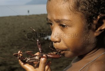 Enfant mangeant un Phasme géant Papouasie-Nouvelle-Guinée