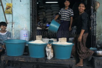 Katze sitzt zwischen Basis und VerkÃ¤ufern  die Burma lÃ¤cheln