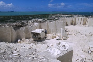 Rodrigues  carrière de pierre de corail