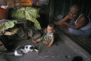 Vater spielt mit einem KÃ¤tzchen  um ihr Kind Burma zu unterhalten