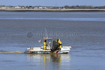 Collecting samples of oil per sieve over the Loire river