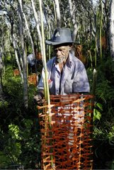 A Kanak posing a safety net in a plantation