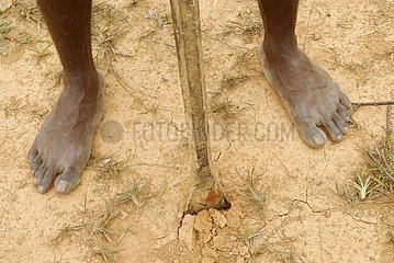 Kanak man feet on a dry soil New Caledonia