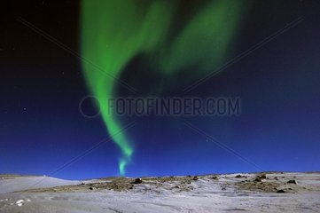 Aurora borealis während einer Vollmondnacht Grönland
