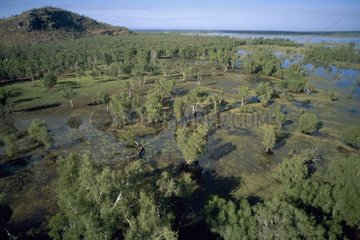 Luftaufnahme des Kakadu Australia National Park