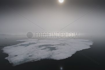 Arctic summer foggy views in Northern Svalbard