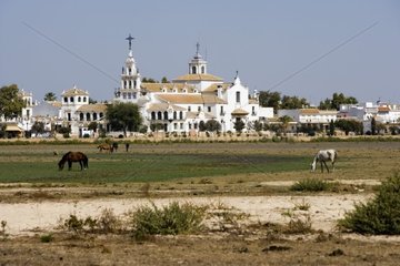 Horses grazing in front of El Rocio Andalusia Spain
