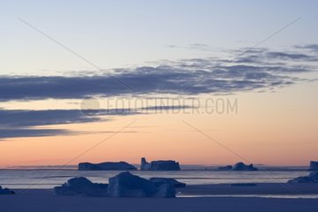 Ice floe and icebergs at twilight Terre Adelie