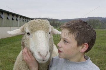 Junge und Schaf Frankreich [at]