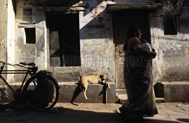 Hund in Ruhe an einer niedrigen Mauer und Frau  die an Indien vorbeikommt
