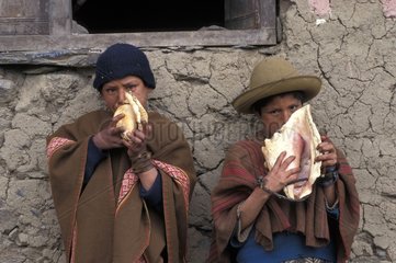 Two boys blowing in their conch Cuzco Region Peru