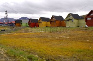 Mehrfarbige Häuser von Longyearbyen Spitzberg