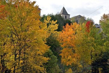 Farben des Herbstes und des Dorfes Grandrieu in Lovere Frankreich