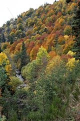 Farben des Herbstes in Lovere Frankreich
