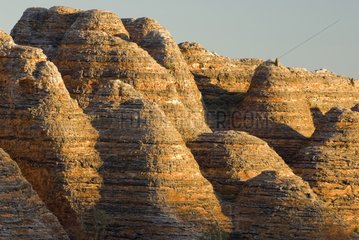 Bee hive rock formations in the Purnululu NP Australia