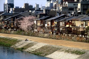 Kyoto  vieux quartier de Pontocho