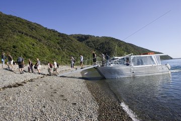 Visitors leaving boat on beach at Kapiti island New-Zaeland