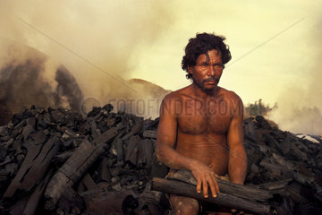 Worker portray  charcoal production plant  Brazil.