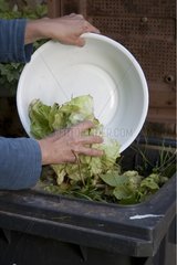 Woman making salad waste in the trash