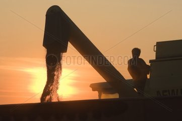 Harvester-Turm im Sonnenuntergang